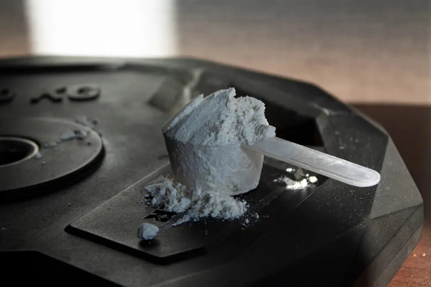 The Future of Protein Supplements in Sports Science