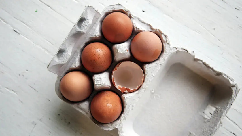 The Impact of Protein on Effective Weight Management